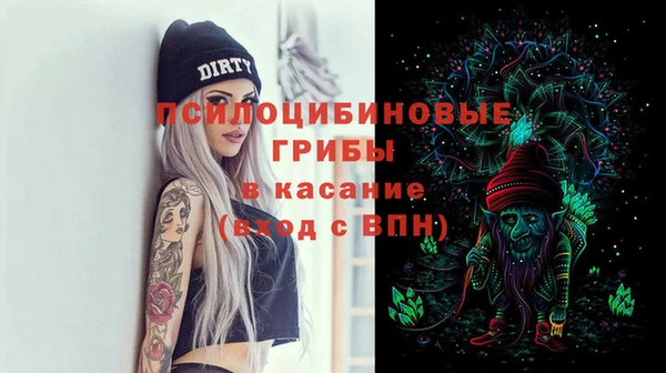 прущие крисы Алзамай