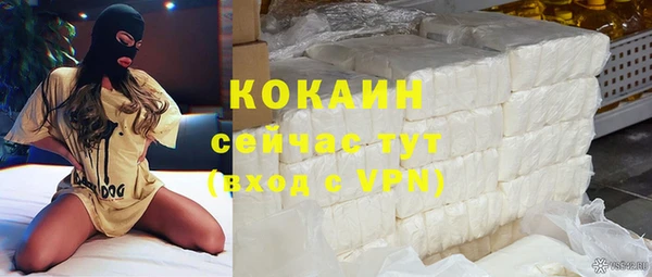 твердый Алексин
