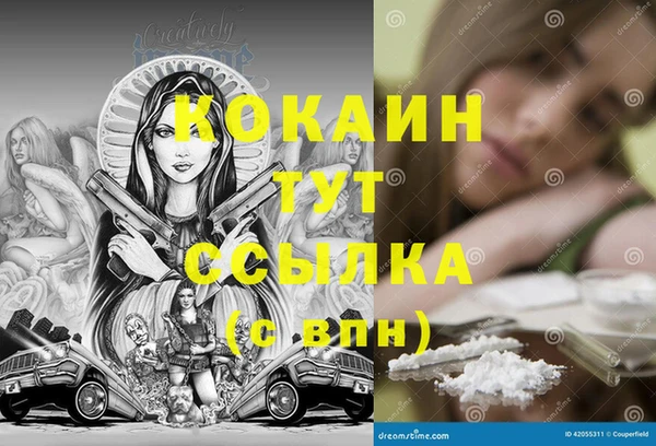 твердый Алексин