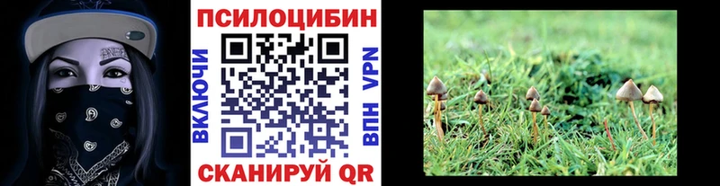 купить наркоту  Слюдянка  Псилоцибиновые грибы Psilocybine cubensis 